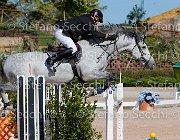 Casadei My Forever GioCav2013 S5 1677 : Campionati Italiani Giovani Cavalli, Casadei Mirco, Cattolica, My Forever, ph Stefano Secchi ©